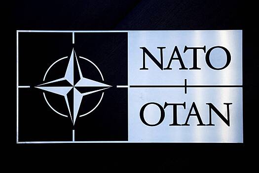 Несколько стран присоединятся к инициативе НАТО