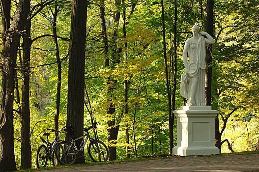 Когда бабье лето в 2025 году: прогноз для Центральной России