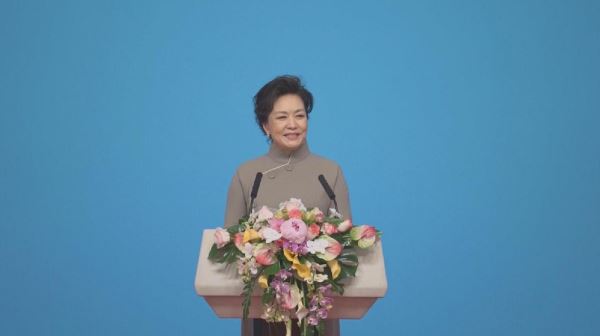 Пэн Лиюань призвала уделять больше внимания женскому научному образованию