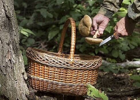 В Германии по подозрению в шпионаже задержали грибника