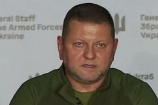 Залужный неожиданно оставил тонкое послание для Зеленского