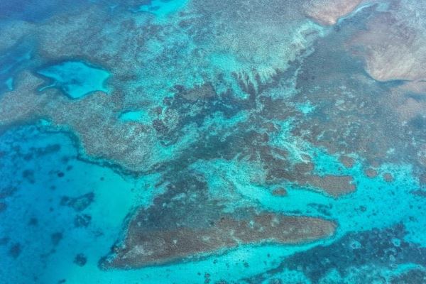 Остров на юге Китая станет заповедником