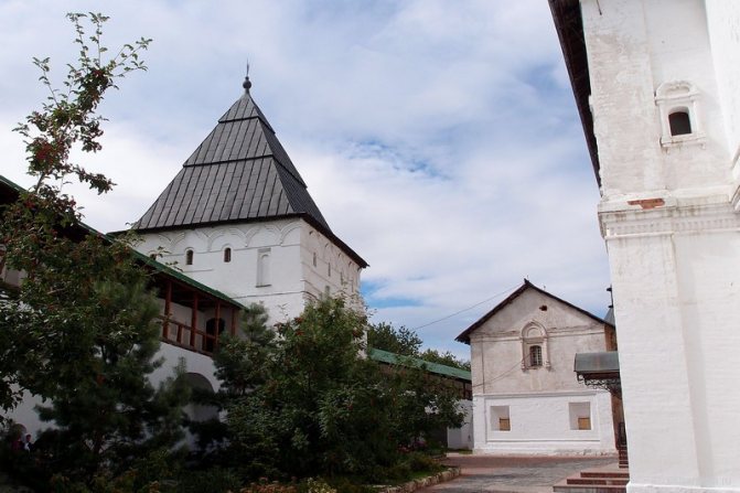 Башня и здания в Новоспасском