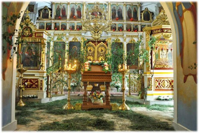 церковь в ботаническом саду в москве