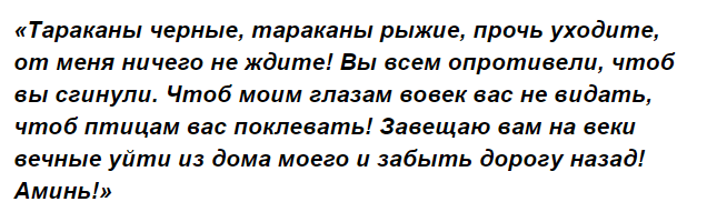 Как избавиться от рыжих и черных домашних тараканов в квартире раз и навсегда: заговоры, молитвы, обряды, ритуалы. Обряд на вывод тараканов на убывающую луну, молитва от тараканов и клопов Трифону