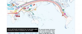 Карта миграций человечества по данным мтДНК. Изображение: «Популярная механика»