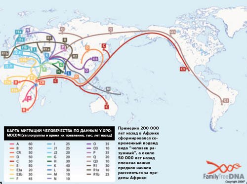 Карта миграций человечества по данным Y-хромосом. Изображение: «Популярная механика»