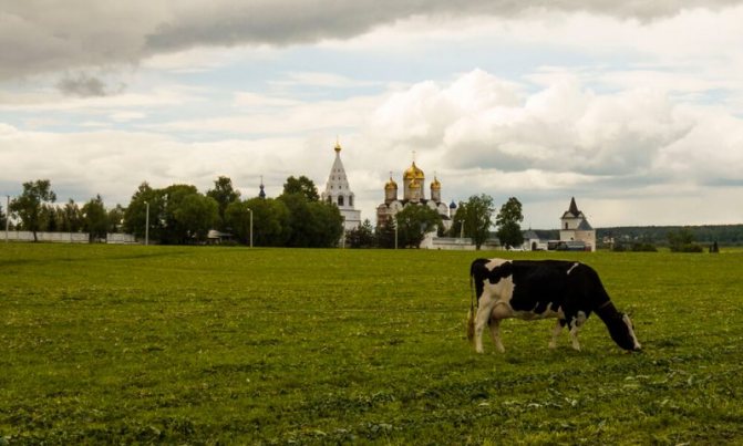 Можайский Лужецкий Ферапонтов монастырь, фото