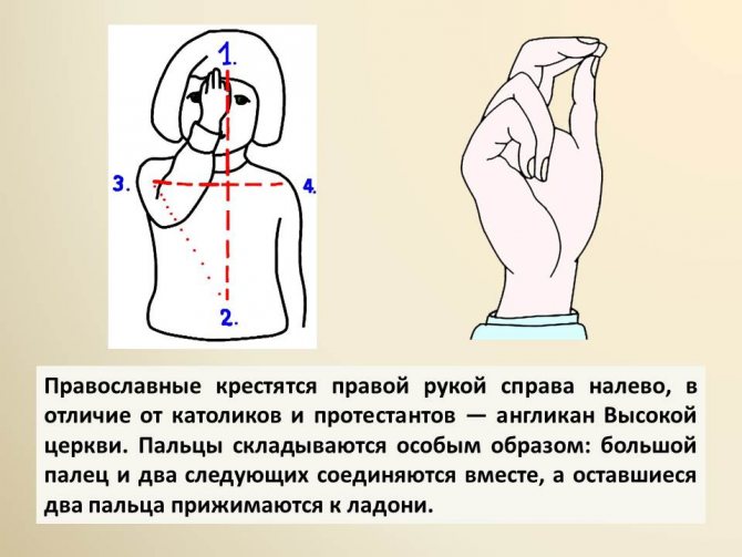 На фото показано, как правильно креститься и как при этом складывать пальцы правой руки