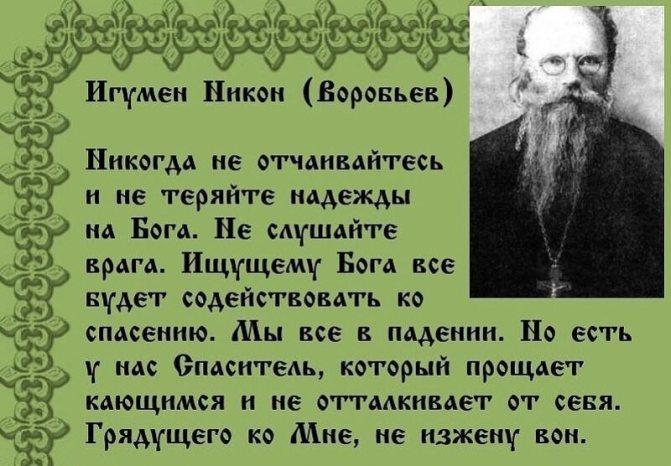 никон воробьев