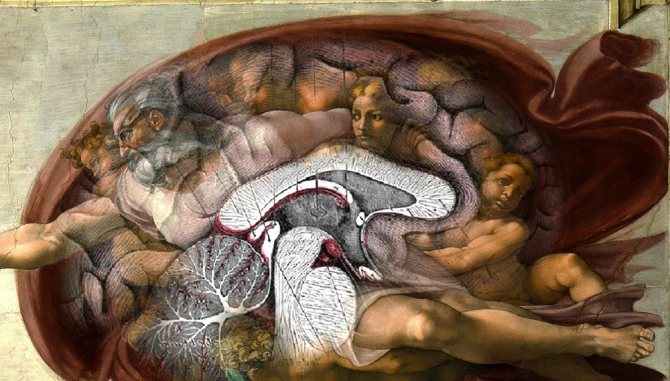 Существует теория, что в изображении Бога, очертаниях красной ткани вокруг него Микеланджело отразил анатомически точное строение человеческого мозга